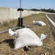 Polypropylene Sand Bags