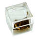 Bug Boxes