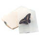 Glassine Envelopes