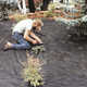 DeWitt Weed Barrier® Pro Landscape Fabric