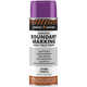 Forestry Suppliers™ Aerosol Boundary Paint