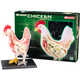 4D Vision™ Chicken Anatomy Model