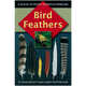 Bird Feathers: A Guide to North American Species