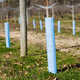 Blue-X® Tree Shelters