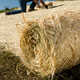 Single Net Straw Erosion Control Blanket