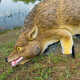3-D Coyote Goose Repeller